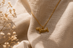 Collier TECKEL