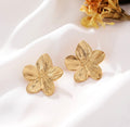 Boucles d’oreilles - Ambre