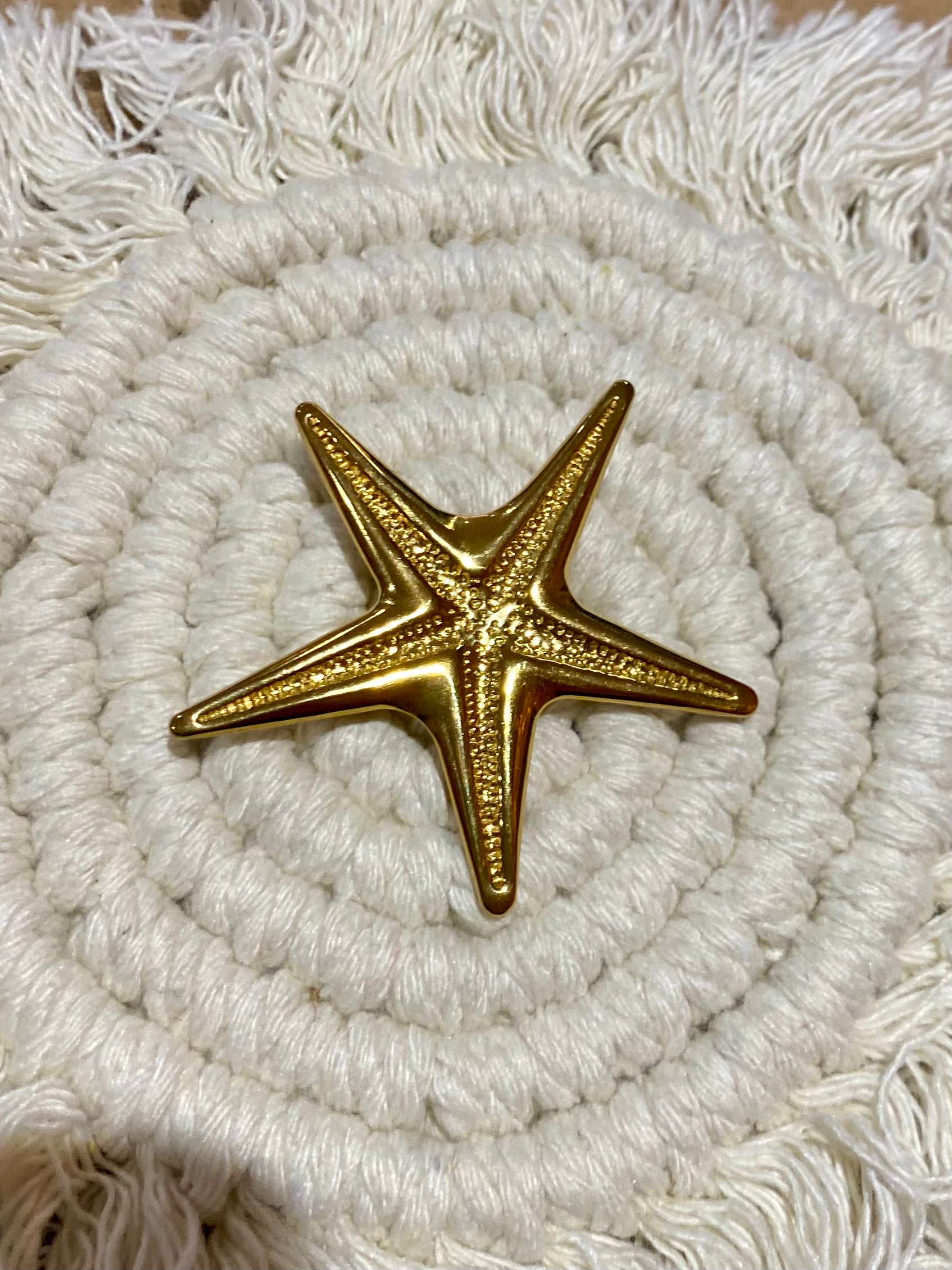 Broche Étoile de mer